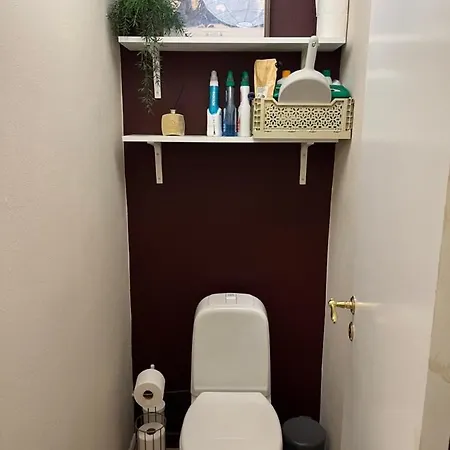 Floor, Cozy Apartment, Centrally Located In Τρόντχαϊμ